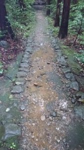 雨、弥彦、道、じゃり