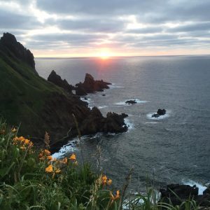 13346577_608685712639210_8670713751502518527_n