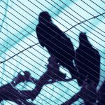 aaceb4aefe92134378b19ddf630bdec0_s