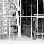 0e4e5bae0735424328013ba8abcb2651_s