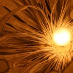 4b3a83225f407cd1beb1c01bf9612efc_s